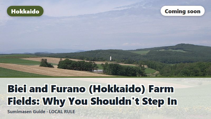 Biei and Furano (Hokkaido) Farm Fields: Why You Shouldn't Step In (coming soon)