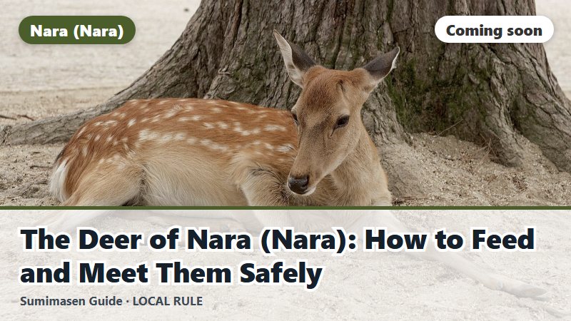 The Deer of Nara (Nara): How to Feed and Meet Them Safely (coming soon)