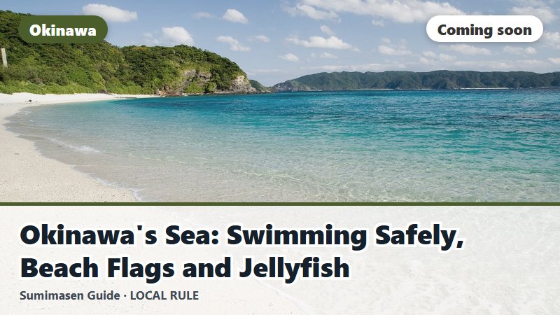 Okinawa's Sea: Swimming Safely, Beach Flags and Jellyfish (coming soon)