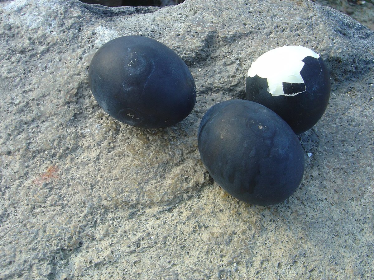 구로타마고(검은 달걀), 하코네(가나가와)