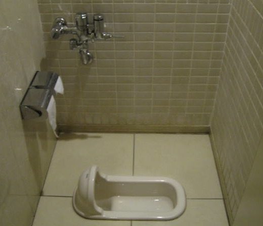 A white squat toilet set into a tiled floor